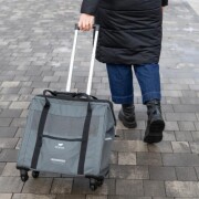 Sac trolley pour chien voyager 450