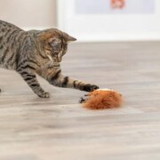 Peluche Ecureuil avec plumes pour chat