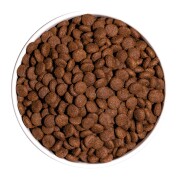 Croquettes chiot classic junior