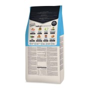 Croquettes chiot classic junior