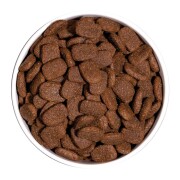 Croquettes classic complet