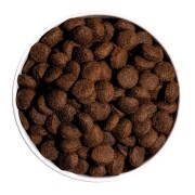 Croquettes classic energy chien sportif