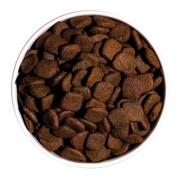 Croquettes sans céréales hypoallergéniques au saumon pour chien sensible