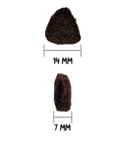 Croquettes just grain free pour chien adulte au saumon