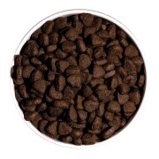 Croquettes just grain free pour chien adulte au saumon