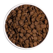 Croquettes Ultra Medium Junior pour chiot de taille moyenne