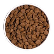 Croquettes Ultra Medium sterilisé chien moyen