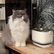Fontaine à eau sans fil, design et silencieuse