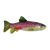 Jouet KONG Wild Shieldz Trout Medium Flottant et Résistant pour Chien