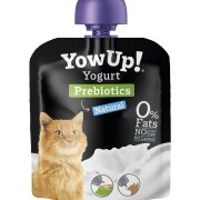 Yaourt Prébiotics pour Chat, digestion et immunité