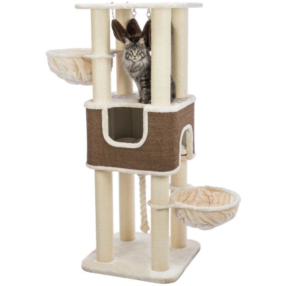 Grand Arbre à chat : hamac, XXL, solide, 174 cm Humberto Beige/Brun foncé