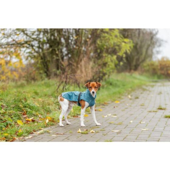 Manteau Imperméable pour chien Vimy Bleu canard