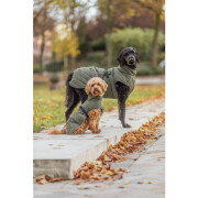 Manteau pour chien Minot vert olive