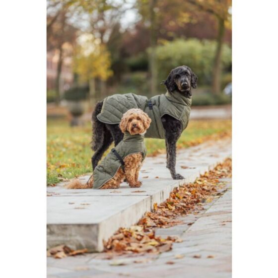 Manteau pour chien Minot vert olive