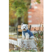 Manteau d’hiver pour chien Ajou