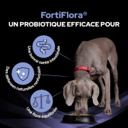 FortiFlora en bouchées– Complément probiotique pour chien