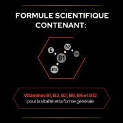 Multivitamins+ pour chat – Complément multivitaminé en poudre