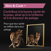 Complément alimentaire pour Peau & Pelage du Chat