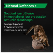 Complément alimentaire pour chat adulte Natural Defences+