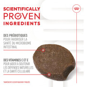 Friandises Immunité & Digestion Soft Chew – Complément pour chien/chiot