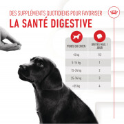 Friandises Immunité & Digestion Soft Chew – Complément pour chien/chiot