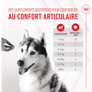 Friandises articulation et vieillissement Soft Chew – Complément pour chien