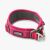 Collier large urban explorer ROSE pour chien