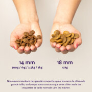 Croquettes pour chien senior sans céréales Poulet & Saumon