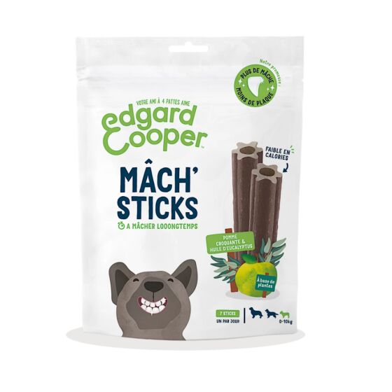 Stick dentaire Mâch’Sticks Pomme & Eucalyptus