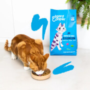 Croquettes chat adulte stérilisé au Saumon sans céréales