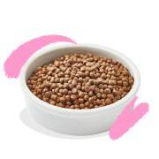 Croquettes pour Chaton – Canard & Poulet sans céréales