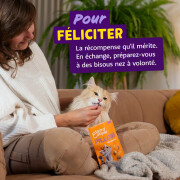 Friandises Fourrés pour chat sans céréales