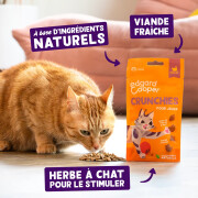 Friandises sans céréales Crunchies au Poulet pour chat