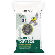 Graines de Tournesol