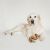 Jouet à mâcher tripe bone pour chien