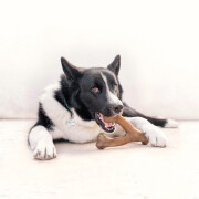 Jouet à mâcher Wishbone pour chien