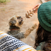 Jouet à mâcher Tiny Pack Fishbone pour petit chien