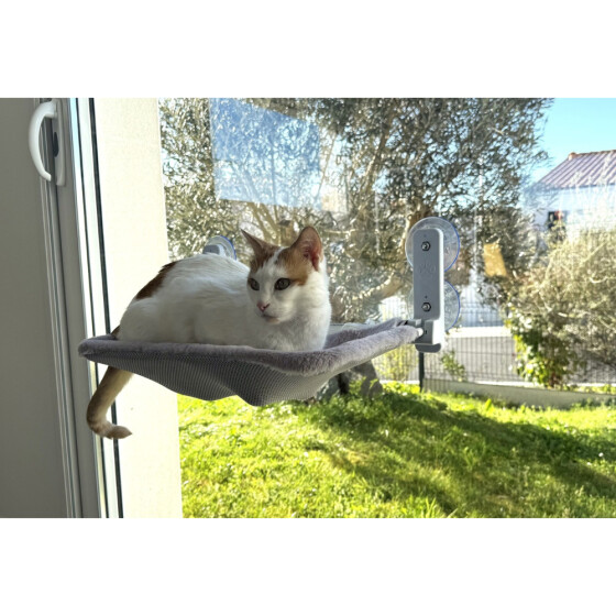 Hamac de fenêtre pour chat été hiver