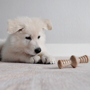 Jouet à mâcher pack puppy Maplestick-Zaggler bacon