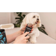 Tondeuse sans fil smart clip pour chien