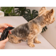 Tondeuse sans fil easy pro+ petit chien