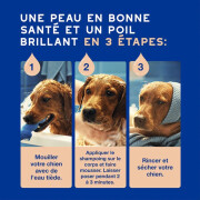 shampoing Douxo Spa anti chute de poils pour chien 250 ml