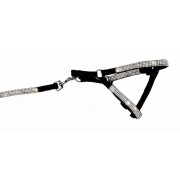 Harnais et laisse noir avec strass pour chat