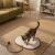 Tapis griffoir chat avec corde et balle