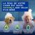 Shampooing Douxo Spa pour chiot 250 ml