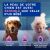 Shampooing Douxo Spa anti-démangeaisons pour chien 250 ml