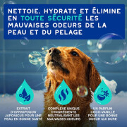 Shampooing Douxo Spa anti-odeurs pour chien 250 ml