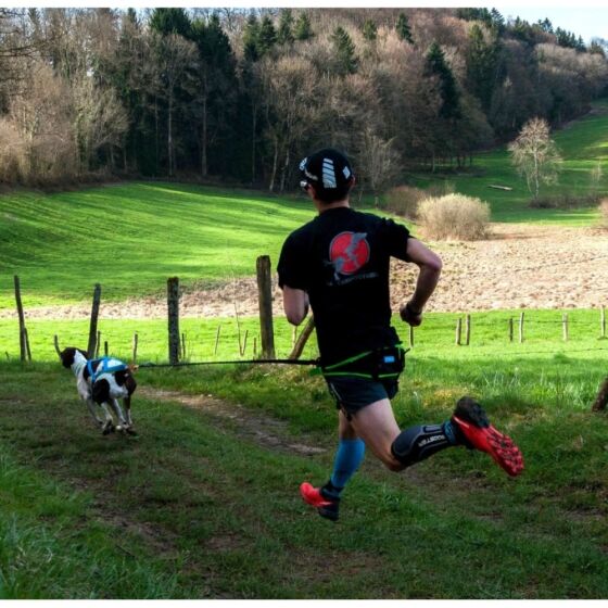 Ceinture baudrier Inlandsis aircross pour canicross, skijoring, canirando