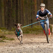 Barre cani‑VTT Inlandsis Bikejor Max UL