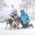 Harnais Inlandsis Polar Quest pour sport canin